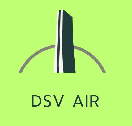 dsvair.basicshippinginc.com